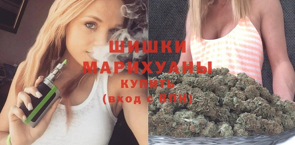СК Строитель