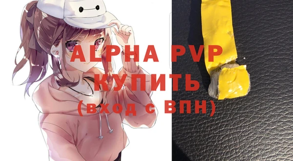 СК Строитель