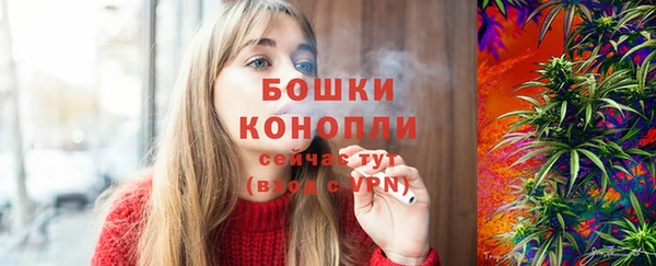 СК Строитель