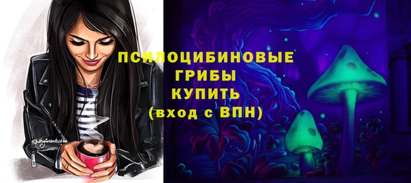 СК Строитель