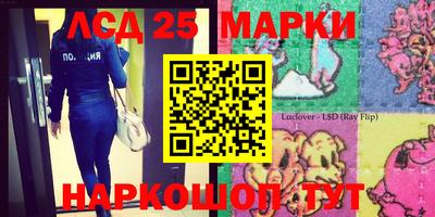 скорость Жуковский