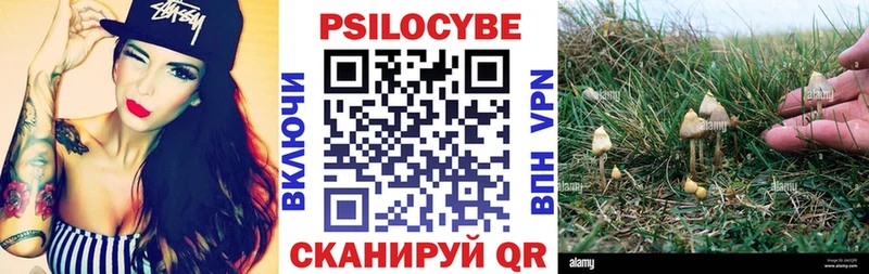 Галлюциногенные грибы GOLDEN TEACHER магазин наркотиков Ростов-на-Дону