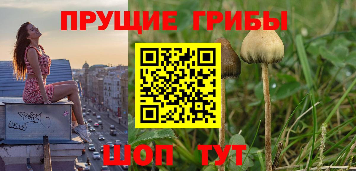 Ростов-на-Дону  Галлюциногенные грибы ЛСД  Вход с VPN 