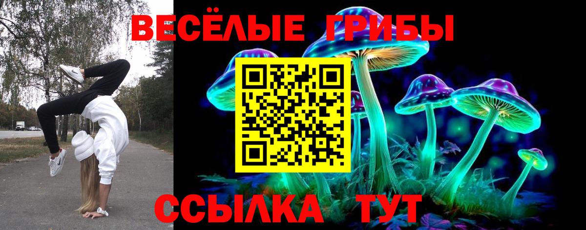 Галлюциногенные грибы Magic Shrooms Ростов-на-Дону